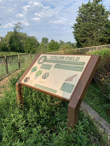 color field sign